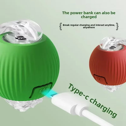 Rechargeable Interactive Dog & Cat Toy - Automatic Rolling Ball with Fake Tail for Endless Fun!