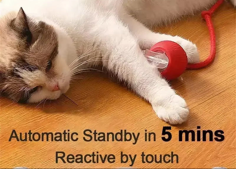 Rechargeable Interactive Dog & Cat Toy - Automatic Rolling Ball with Fake Tail for Endless Fun!