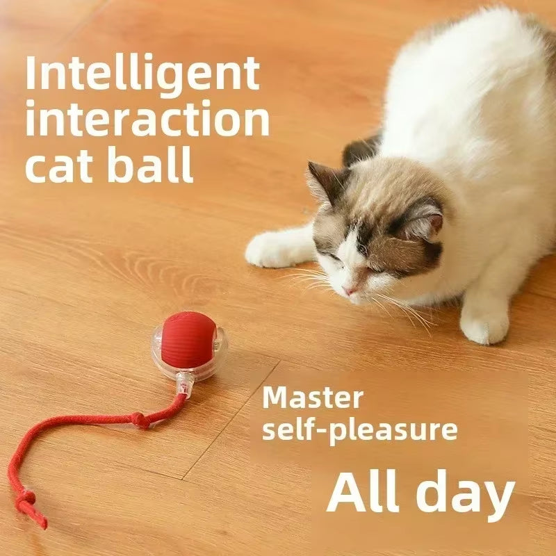 Rechargeable Interactive Dog & Cat Toy - Automatic Rolling Ball with Fake Tail for Endless Fun!